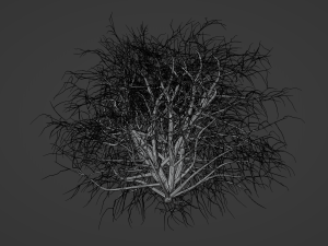 Tumbleweed Modelo 3D