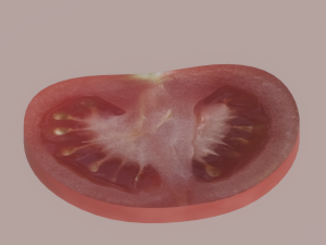Tomato Slices 3D Model