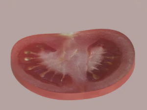 Tomato Slices 3D Model