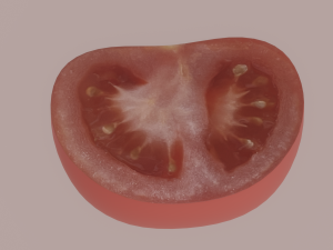Tomato Slices 3D Model