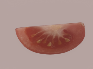 Tomato Slices 3D Model