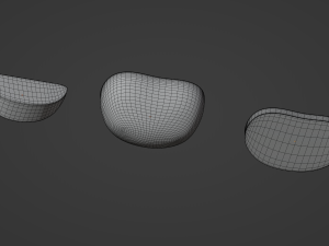 Tomato Slices 3D Model