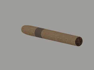 Cigar 3D Model