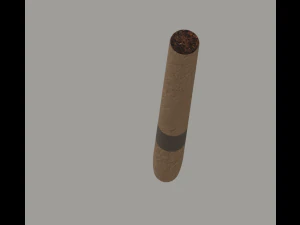 Cigar 3D Model