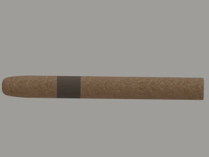 Cigar 3D Model