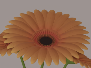 Vase with Flower 3D Модель