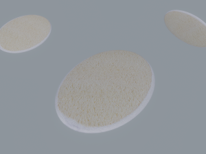 Bath Sponge Modello 3D