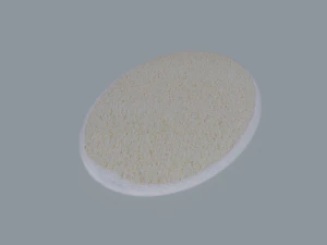 Bath Sponge 3D Model
