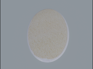 Bath Sponge Modèle 3D