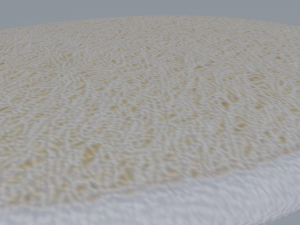 Bath Sponge Modèle 3D