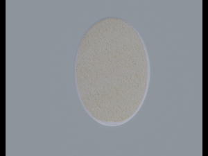 Bath Sponge Modèle 3D