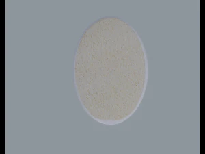 Bath Sponge 3D Model