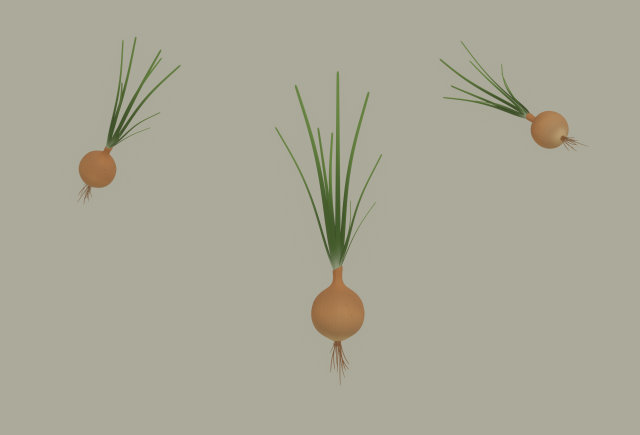 Growing Onion Modello 3D .c4d .max .obj .3ds .fbx .stl .blend 