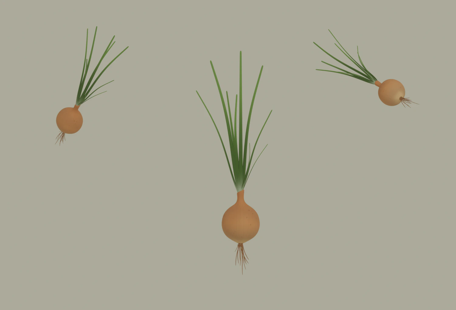 Growing Onion 3D Model .c4d .max .obj .3ds .fbx .stl .blend 