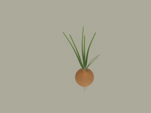 Growing Onion Modello 3D
