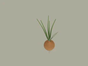 Growing Onion 3D Model