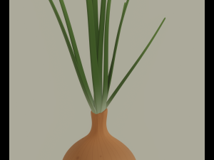 Growing Onion Modello 3D
