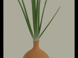 Growing Onion 3D Model