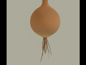 Growing Onion Modello 3D