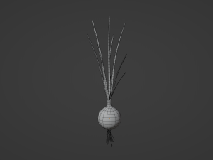 Growing Onion Modello 3D