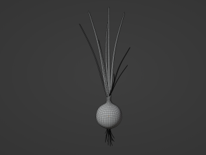 Growing Onion Modello 3D