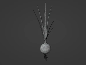 Growing Onion 3D Model