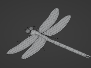 Dragonfly 3D 模型