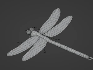 Dragonfly 3D Model