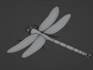 Dragonfly 3D 模型