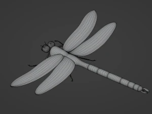 Dragonfly 3D Model