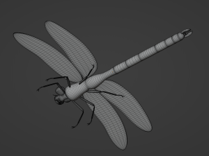 Dragonfly 3D 模型