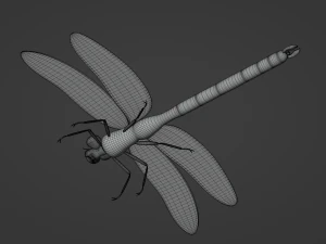 Dragonfly 3D Model