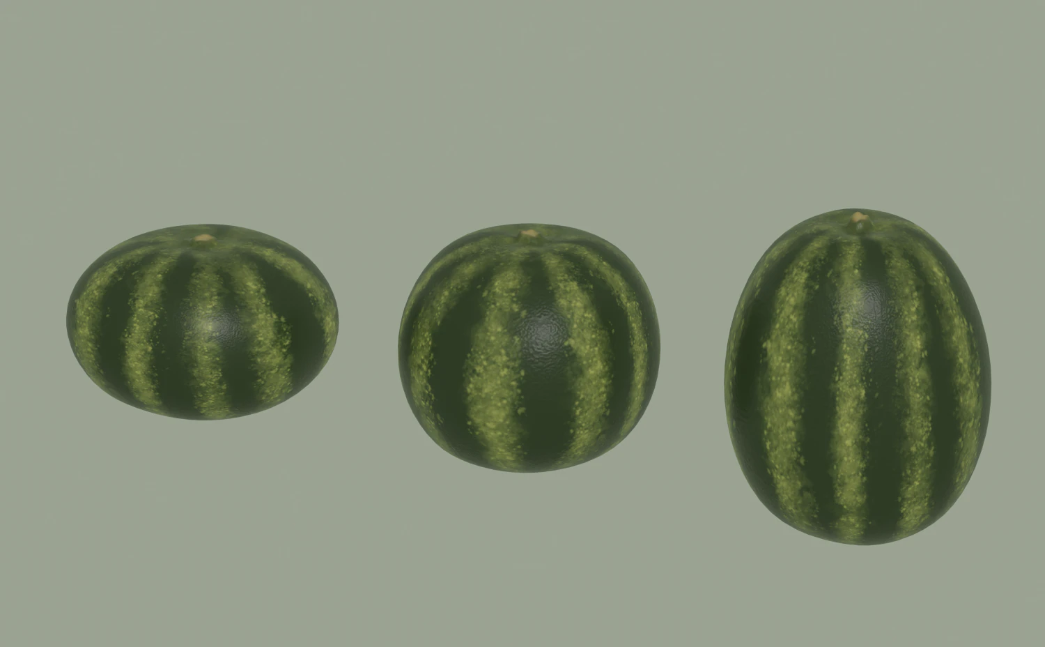 Watermelon 3D Model .c4d .max .obj .3ds .fbx .stl .blend 
