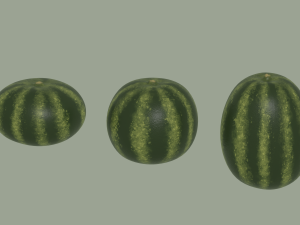 Watermelon Model 3D