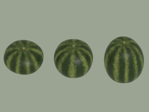 Watermelon 3D Model