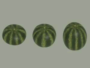 Watermelon 3D Model