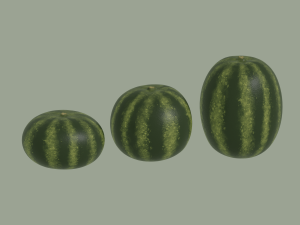 Watermelon 3D Model