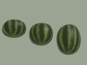 Watermelon 3D Model