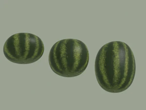 Watermelon 3D Model