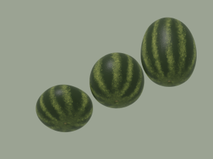 Watermelon 3D Model