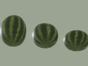 Watermelon 3D Model