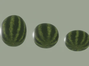Watermelon 3D Model