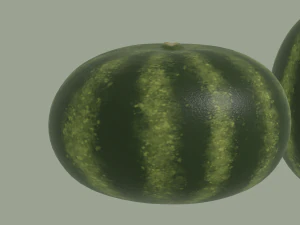 Watermelon 3D Model