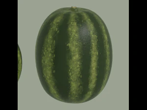 Watermelon 3D Model