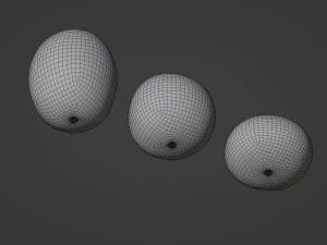 Watermelon 3D Model