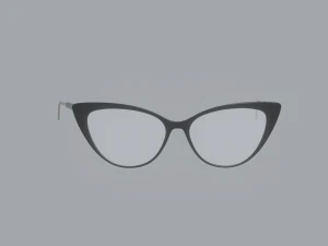 Librarian Glasses 3D Model