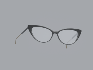 Librarian Glasses Model 3D