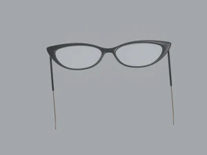 Librarian Glasses 3D Model