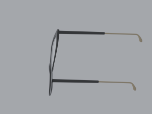 Librarian Glasses Model 3D