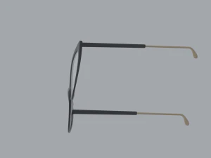 Librarian Glasses 3D Model